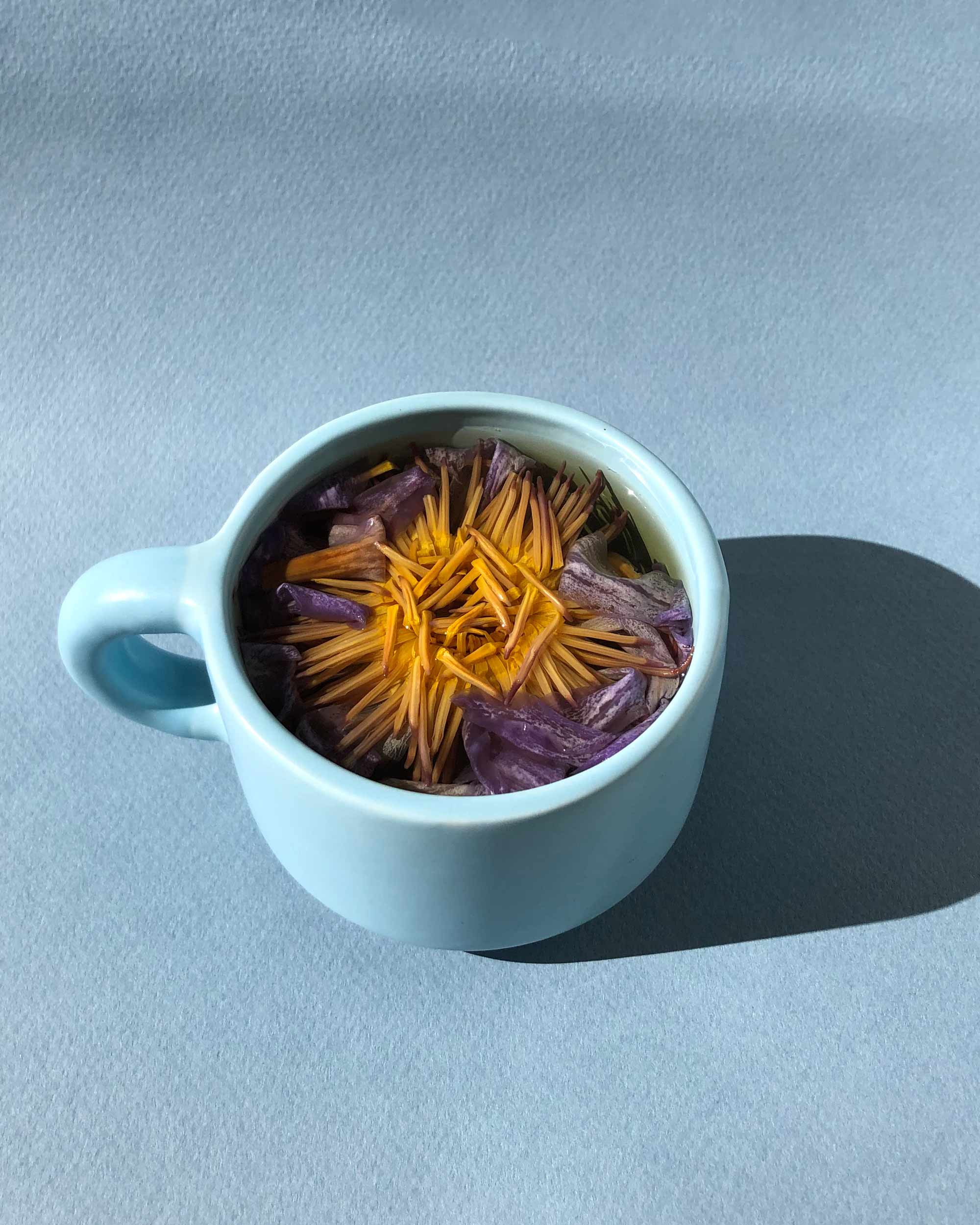 Blue Lotus Flower Tea (herbal tea/tisane)