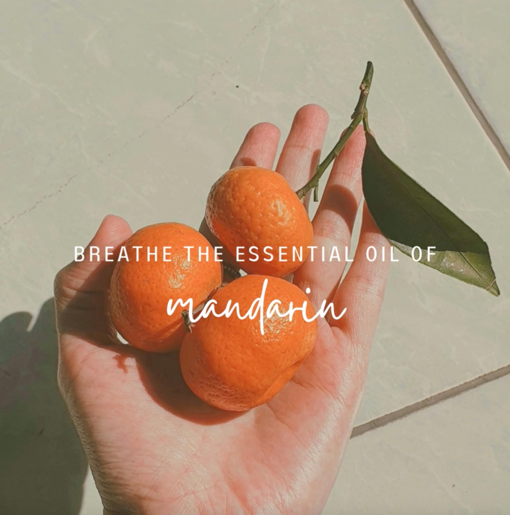 PURE MANDARIN Aroma Patches Bright Mood-Boosting Citrus 8 ct