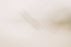 Silver Ear Seed Acupuncture Kit – Anxiety & Stress Support