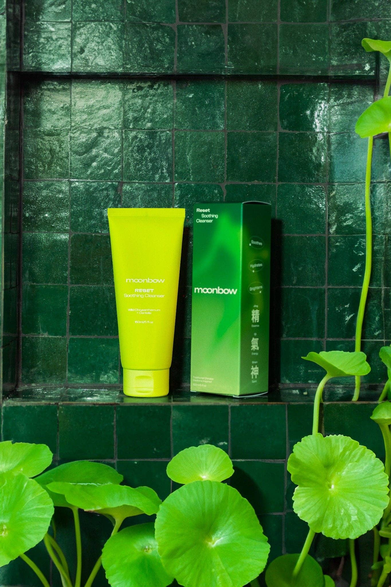 Reset Soothing Cleanser