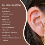 Silver Ear Seed Acupuncture Kit – Anxiety & Stress Support